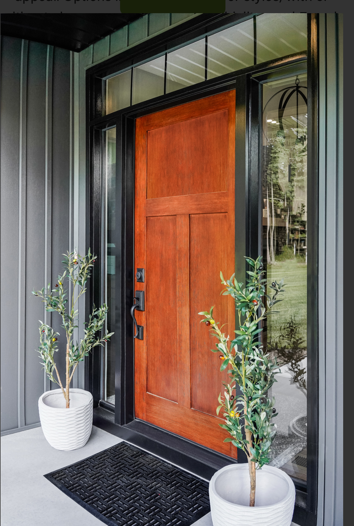Door Replacement Services